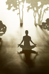 Similar image 1789382