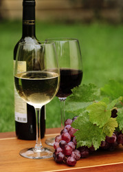 Similar image 1789386