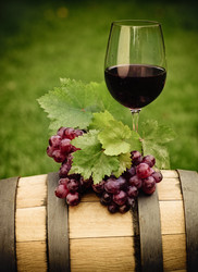 Similar image 1789388