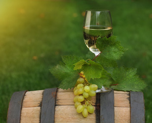 Similar image 1789390