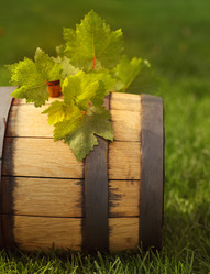 Similar image 1789398