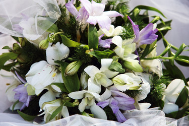 Similar image 1789426