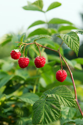 Similar image 1789433