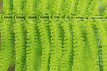 Similar image 1789436