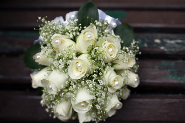 Similar image 1789442