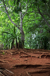 Similar image 1789444