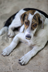 Similar image 1789445