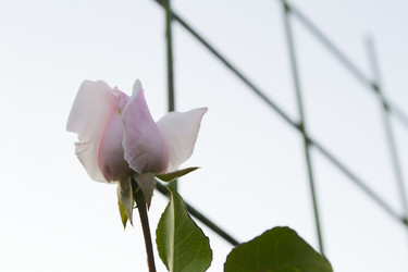 Similar image 1789475