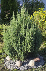 Similar image 1789478