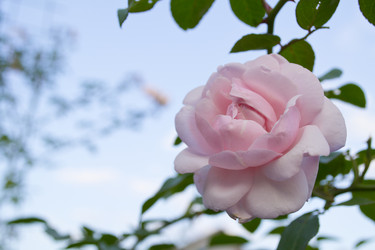 Similar image 1789479