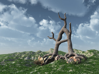 Similar image 1789503