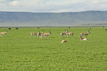 Similar image 1789518