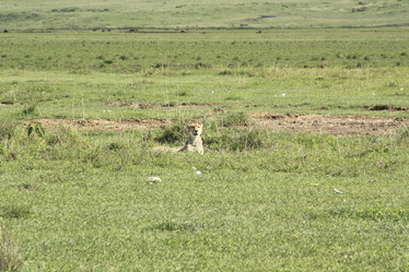 Similar image 1789520