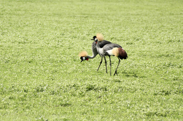 Similar image 1789521