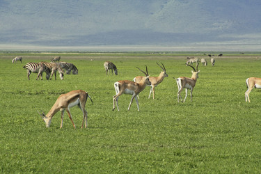 Similar image 1789522