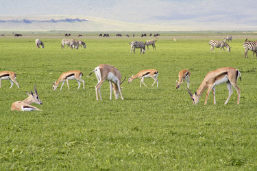 Similar image 1789533