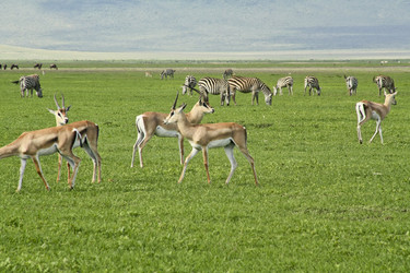 Similar image 1789534