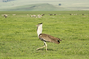 Similar image 1789536