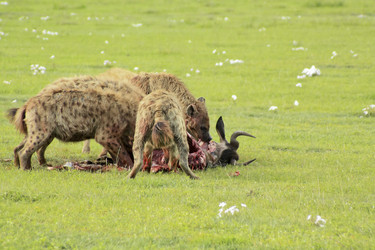 Similar image 1789537