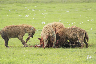 Similar image 1789538