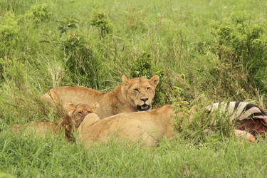 Similar image 1789541