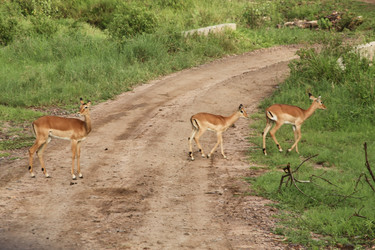 Similar image 1789549