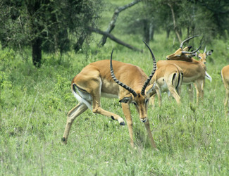 Similar image 1789552