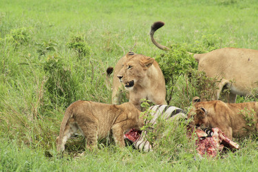 Similar image 1789554