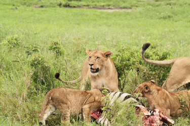 Similar image 1789555