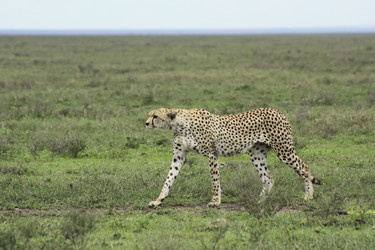 Similar image 1789557