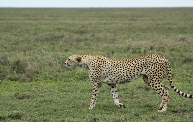 Similar image 1789558