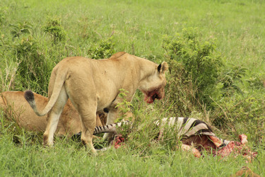 Similar image 1789561