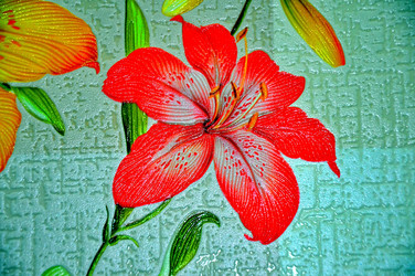 Similar image 1789598