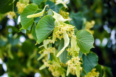 Similar image 1789683