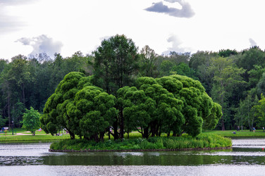 Similar image 1789684