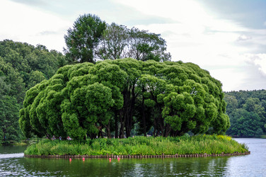 Similar image 1789713