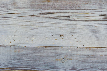 Similar image 1789801