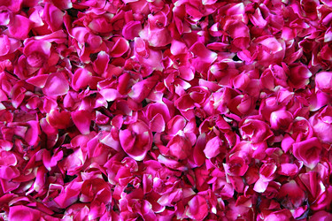 Similar image 1789999