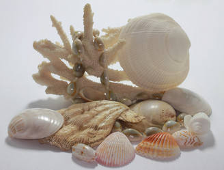 Similar image 1790074