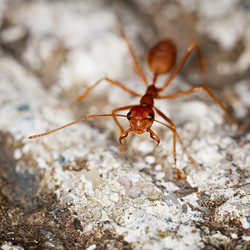 Similar image 1790120