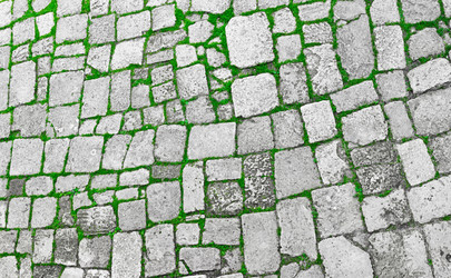 Similar image 1790145