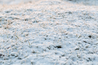 Similar image 1790196