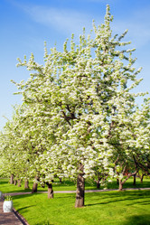 Similar image 1790399