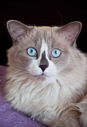 Similar image 1790459