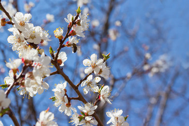 Similar image 1790491