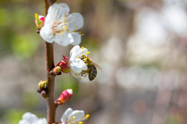 Similar image 1790492