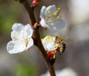 Similar image 1790494