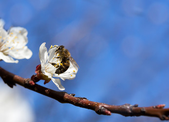 Similar image 1790496