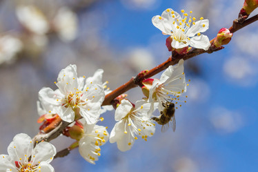 Similar image 1790497