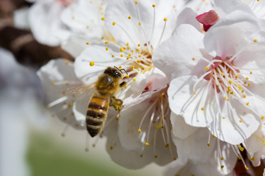 Similar image 1790498